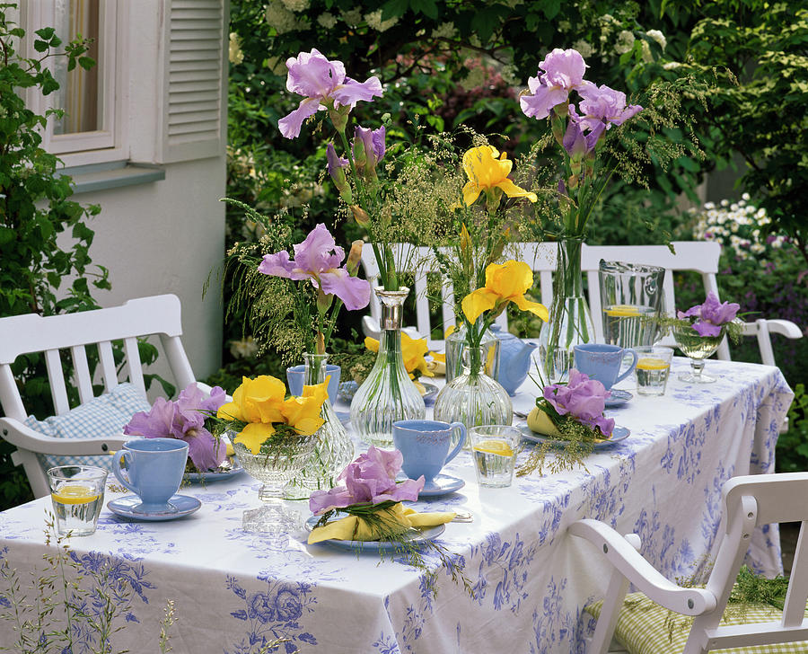 Table Decoration With Irises And Grasses, Blue Place Settings Photograph by Friedrich Strauss