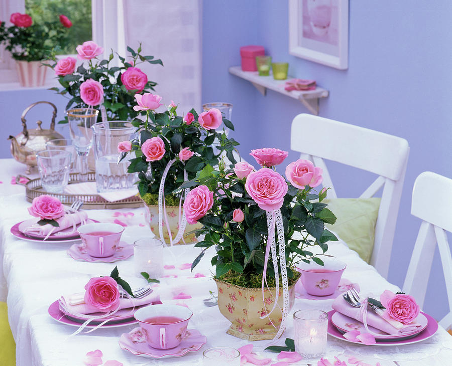 Table Decoration With Mini Roses Photograph by Friedrich Strauss