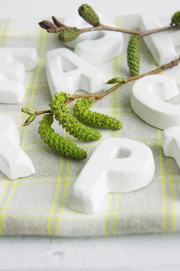 Table Decoration With Willow Catkins & Letters Photograph by Martina Schindler