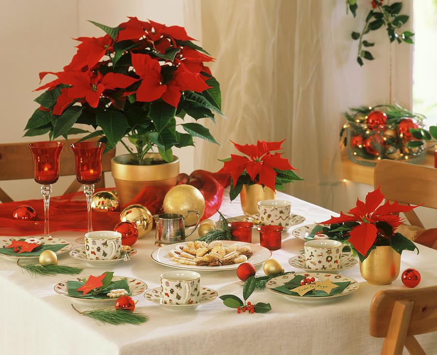 Table Laid For Coffee With Poinsettias Photograph by Strauss, Friedrich