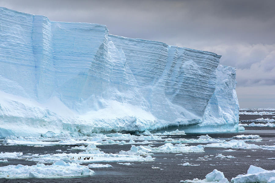 Tabular Iceberg Floating In Weddell Sea, Antarctica Photograph By 