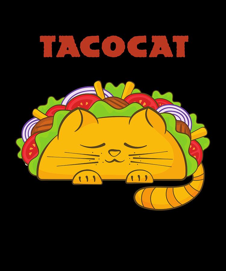 tacocat aphmau