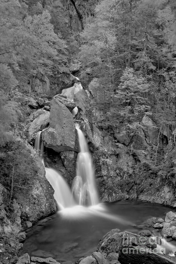 Taconic Mountain Waterfall Black And White Photograph by Adam Jewell