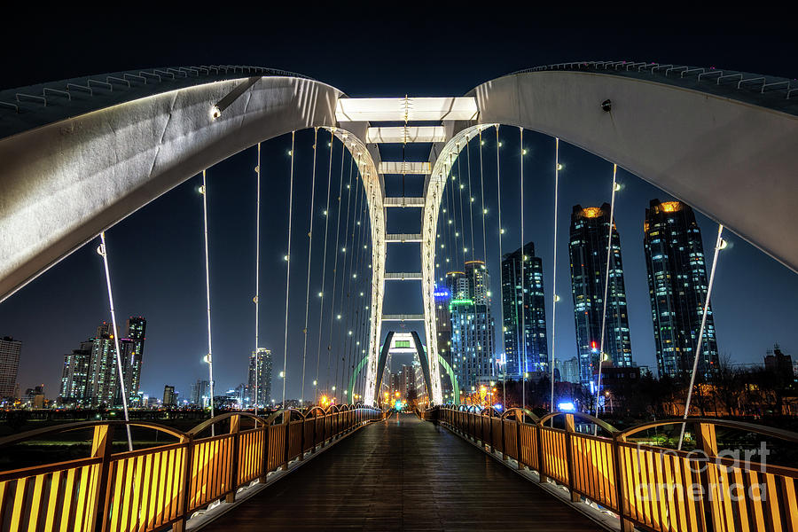 Architecture Photograph - Taehwa River Bridge by Aaron Choi