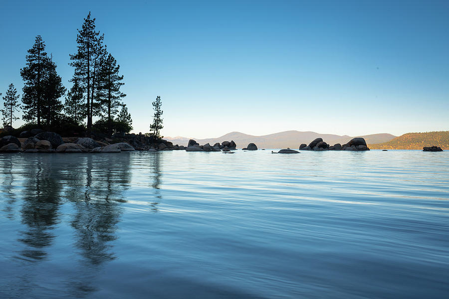 Tree Photograph - Tahoe Blues by Ryan Weddle
