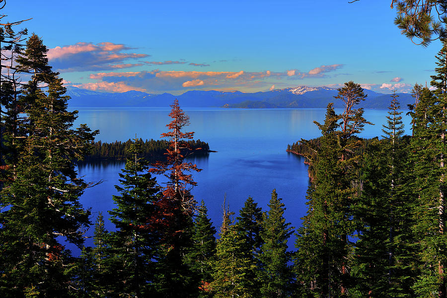 Tahoe Evening Calm Photograph by Greg Norrell