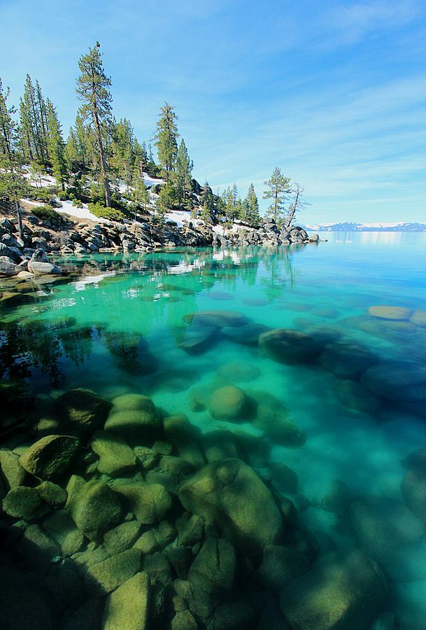 Tahoe Soul  Photograph by Sean Sarsfield