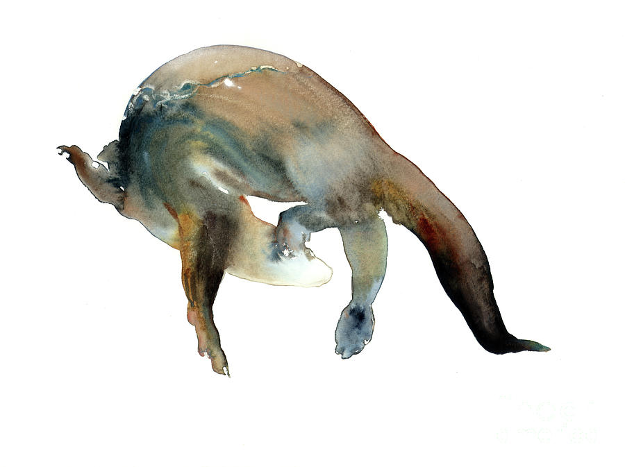 Tail Turn, 2014 Watercolor Painting by Mark Adlington