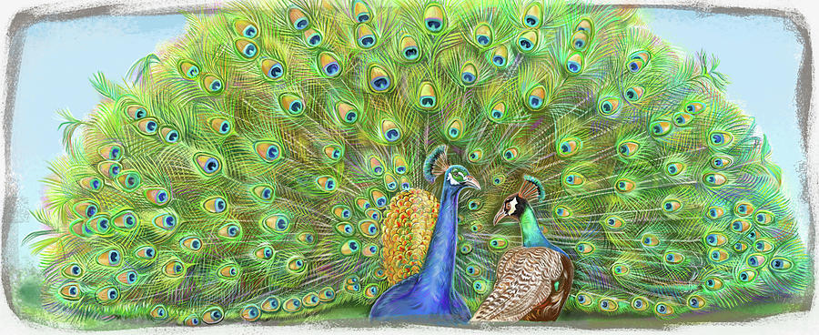 Peacock Painting - Tailstalk Page 16 And 17 Peacock A by Cathy Morrison Illustrates
