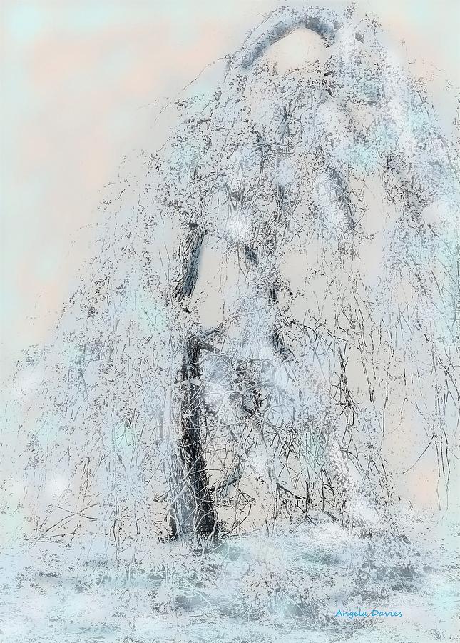 Take A Bow To Winter Digital Art by Angela Davies