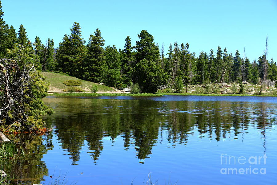 Tree Photograph - Take A Hike At Sprague Lake by Christiane Schulze Art And Photography