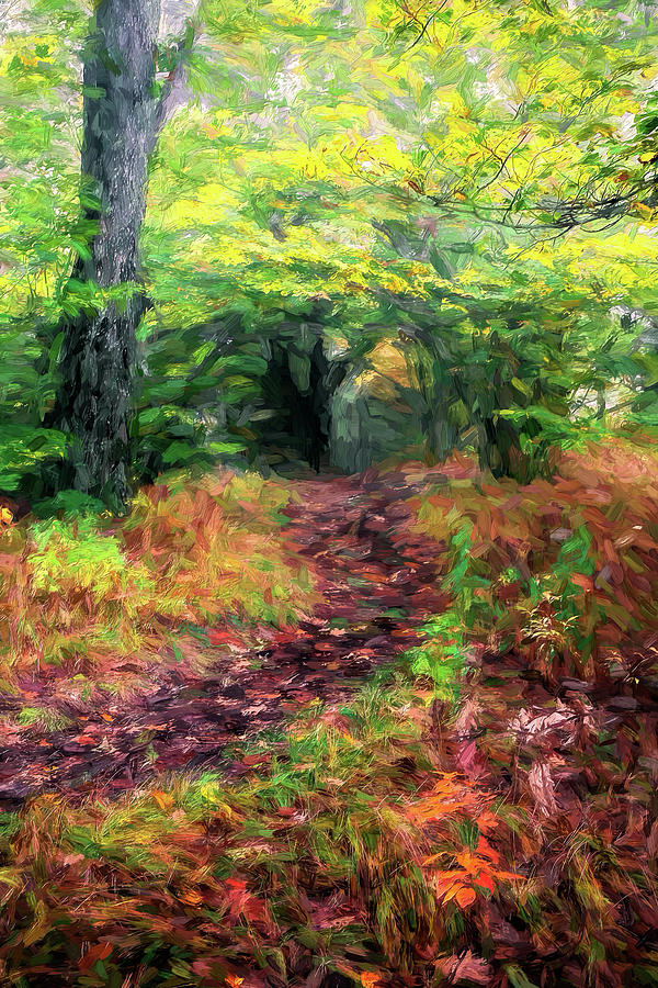 Take a Hike in Autumn AP Painting by Dan Carmichael