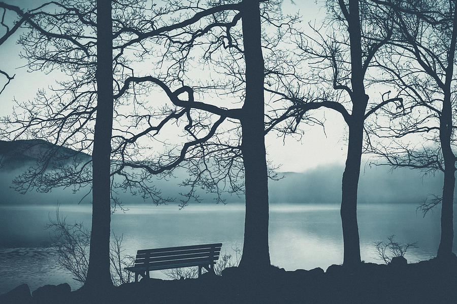Tree Photograph - Take A Seat by Patrick Aurednik