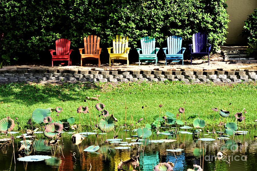 Take A Sit Photograph By Viktoriya Sorochuk - Fine Art America