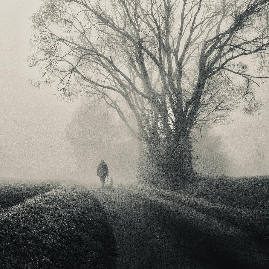 Tree Photograph - Take Me Back Home by Robert Kuavi