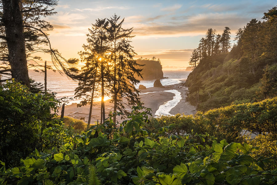 Olympic National Park Photograph - Take Me To The Beach by Syed Iqbal