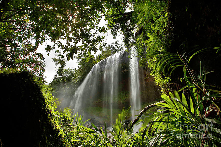 Taki Waterfalls And Jungle Photograph by Richard Brooks/science Photo Library
