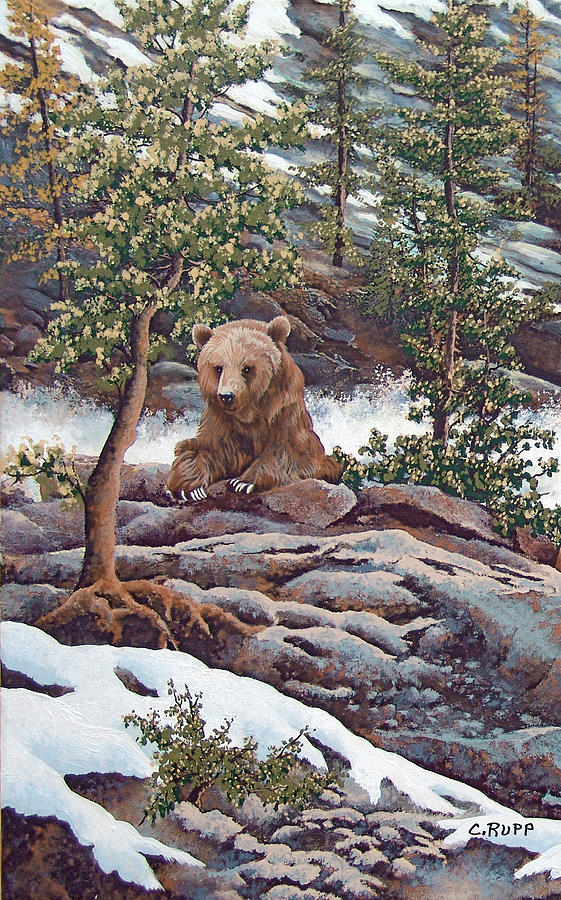 Bear Painting - Taking A Break by Carol J Rupp