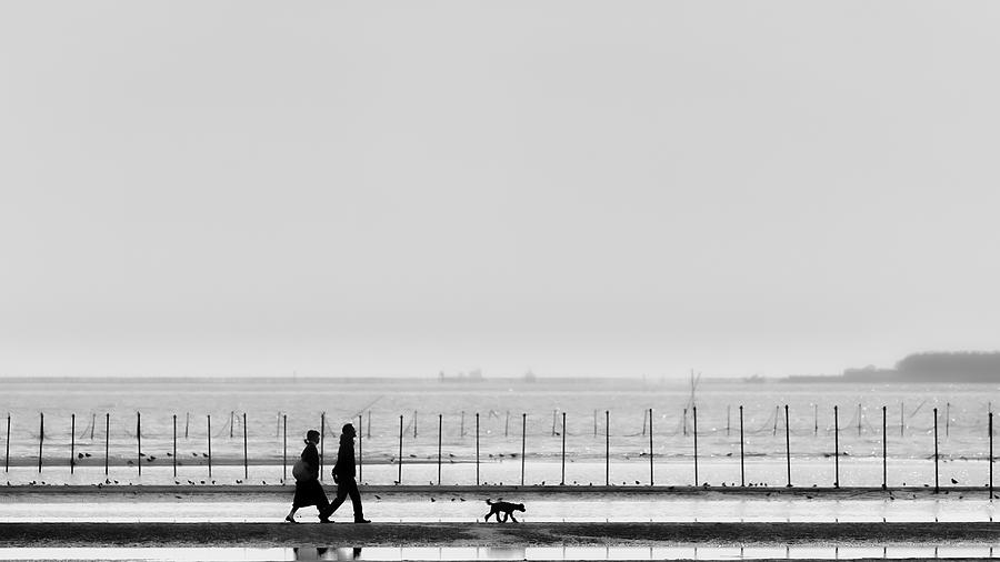 Taking A Walk Photograph by Hideaki Watanabe