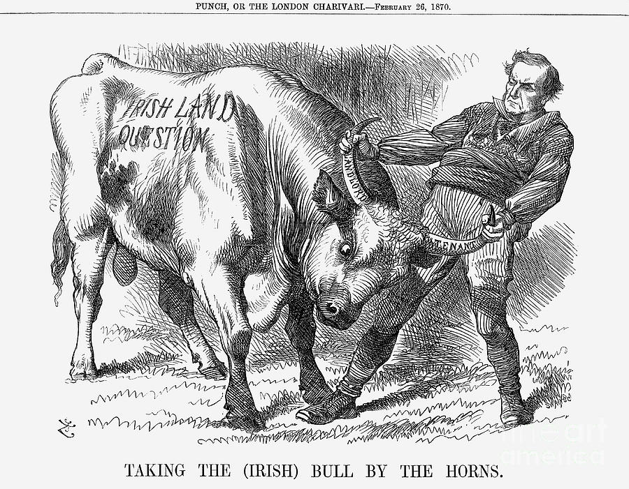 Taking The Irish Bull By The Horns Drawing by Print Collector