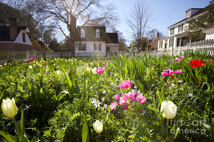 Taliaferro-Cole Garden in March by Rachel Morrison Taliaferro-Cole Garden in March by Rachel Morrison