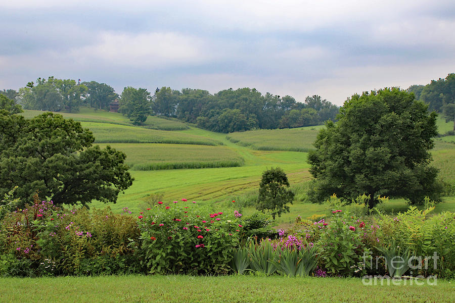 Taliesin Landscape by PJ Boylan Taliesin Landscape by PJ Boylan