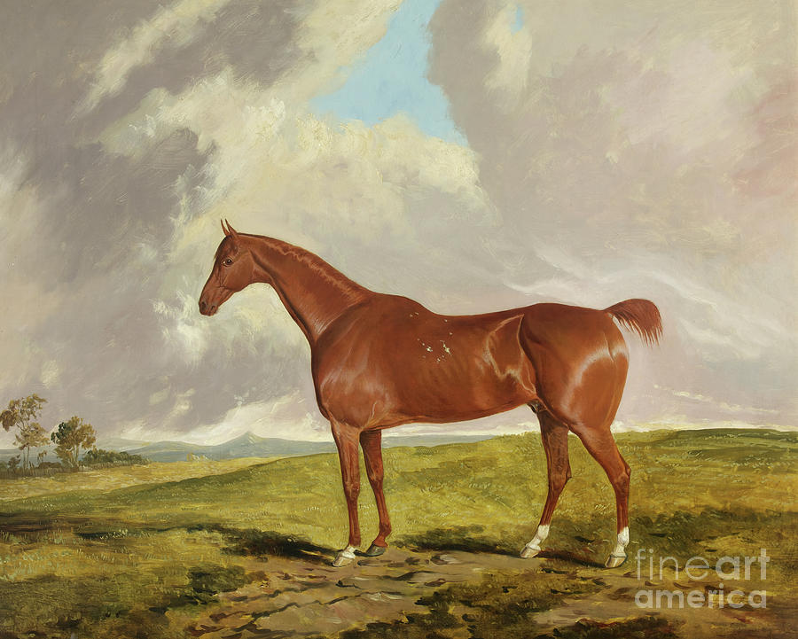 Horse Painting - Talisman, C.1840 by James Flewitt Mullock