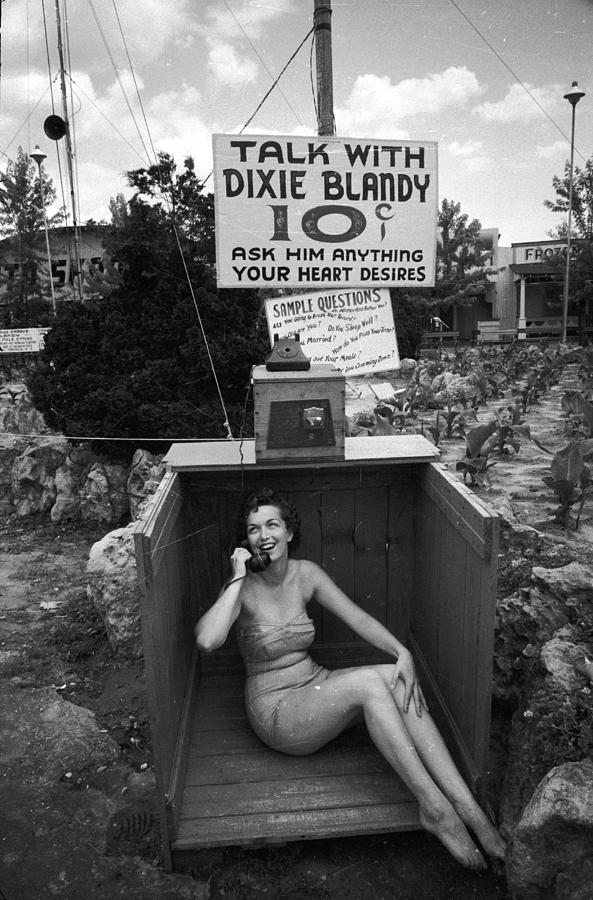 Talking Dixie Photograph by Nocella Talking Dixie Photograph by Nocella