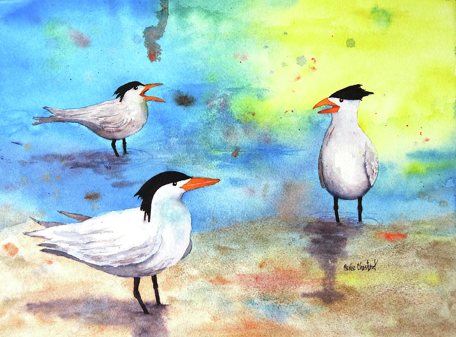 Bird Painting - Talking In Terns by Renee Chastant