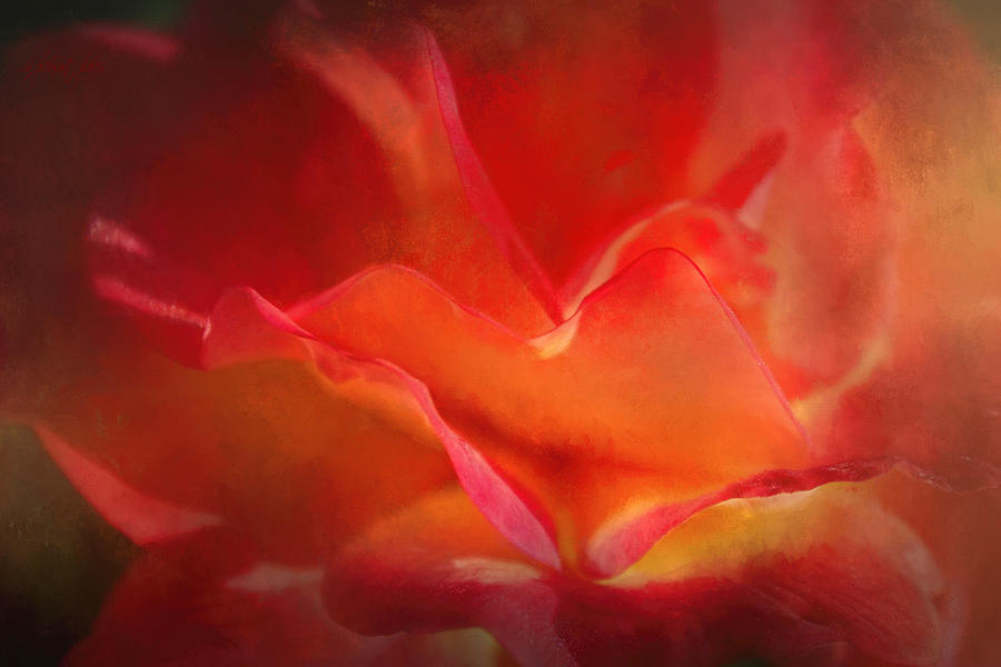 Talking Rose Digital Art by Joanna Kovalcsik - Fine Art America