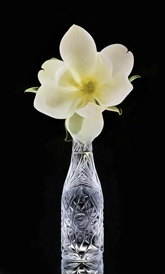 Tall Crystal Magnolia Still Life Photograph by JC Findley