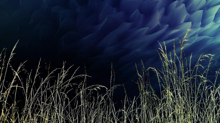 Tall Grass Abstract by Richard Farrington Tall Grass Abstract by Richard Farrington