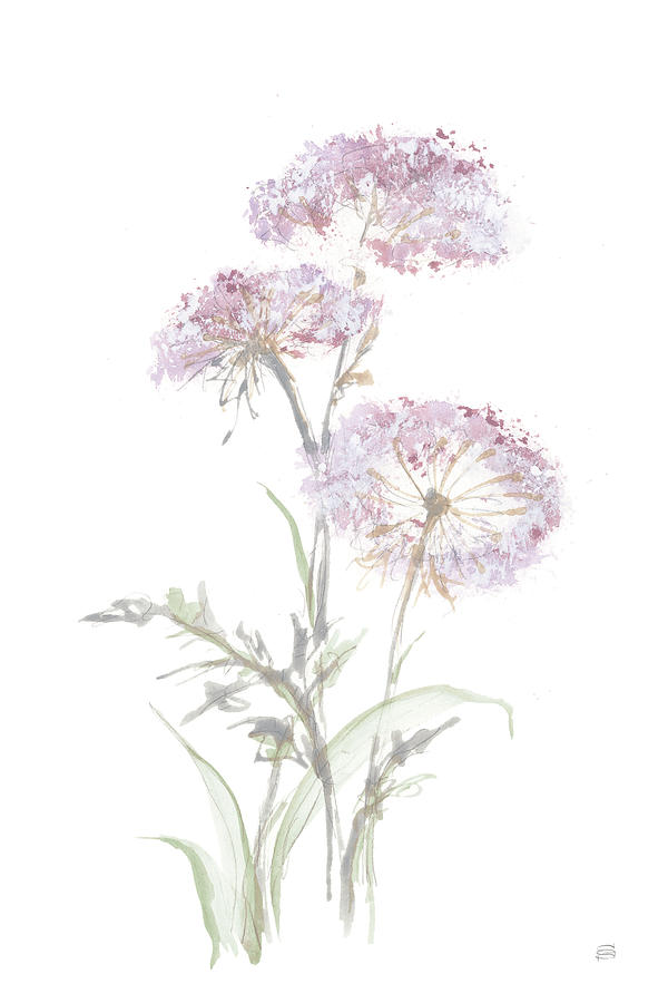 Flower Painting - Tall Queen Annes Lace IIi by Chris Paschke