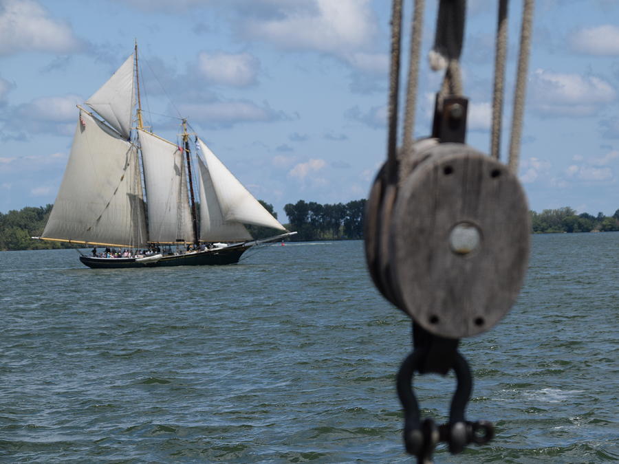 Tall Ships America, 2019 Photograph by Anthony Latella Fine Art America