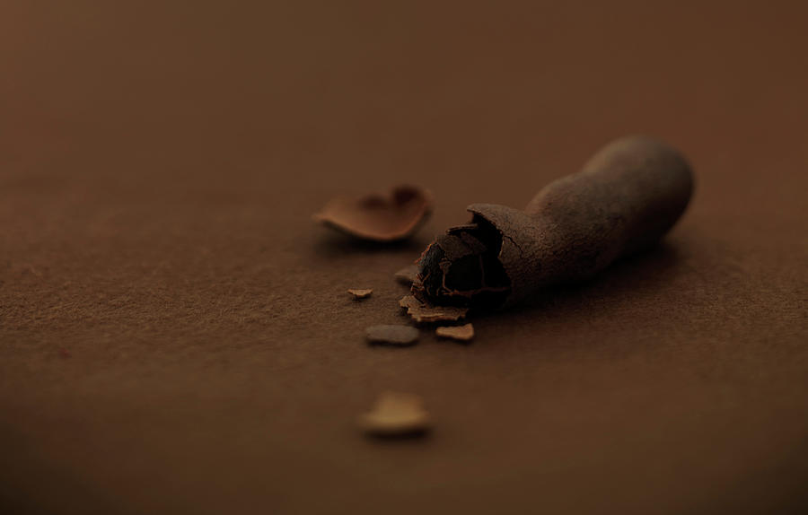Tamarind Seeds And Shell Photograph by Cabanes-valle
