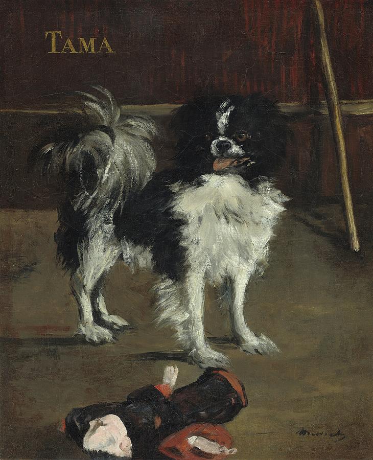 Black And White Painting - Tama,the Japanese Dog by Edouard Manet