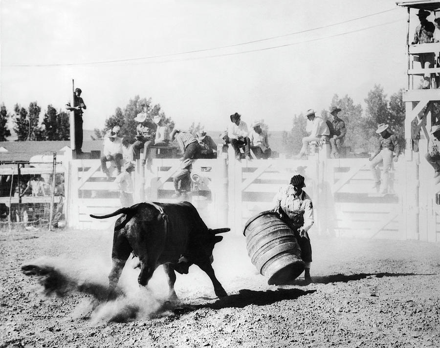 Taming A Bull With Barrel In The Usa Photograph by Keystone-france