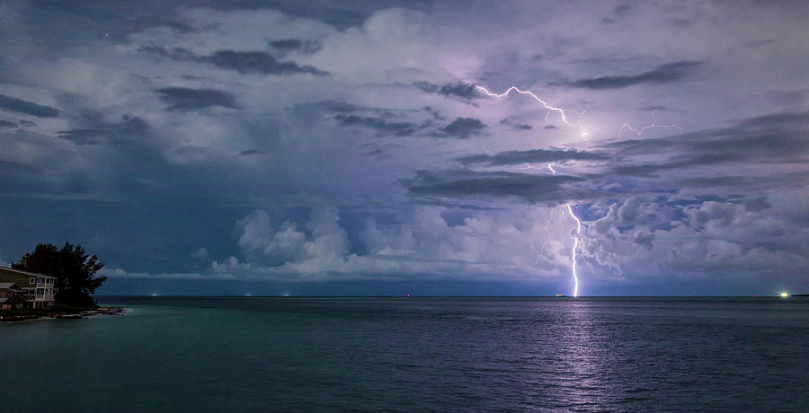 Tampa Photograph - Tampa Bay Lightning by Chris Haverstick