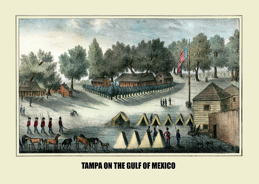 Indian Painting - Tampa Bay on the Gulf of Mexico by Gray & James
