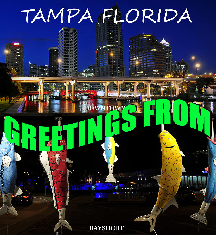Tampa custom card Downtown and Bayshore Photograph by David Lee Thompson