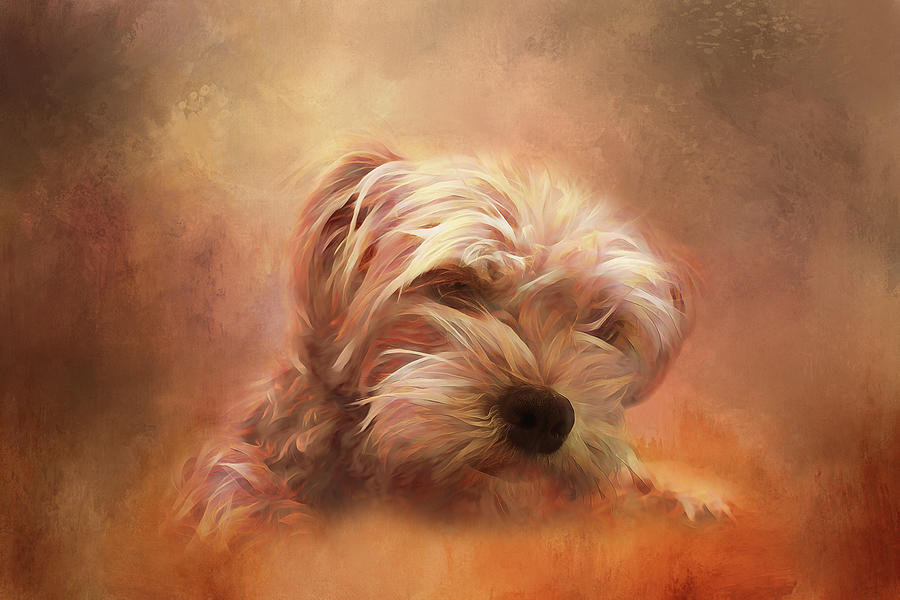 Tan Colorful Puppy Digital Art by Terry Davis