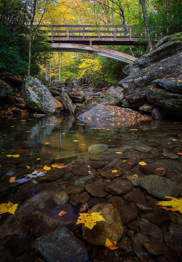 Tanawha Trail Grandfather Mountain by Mike Koenig Tanawha Trail Grandfather Mountain by Mike Koenig