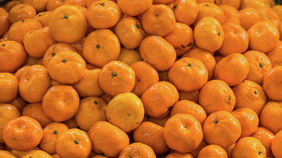 Tangerine Citrus Fruit  Photograph by Ann Moore