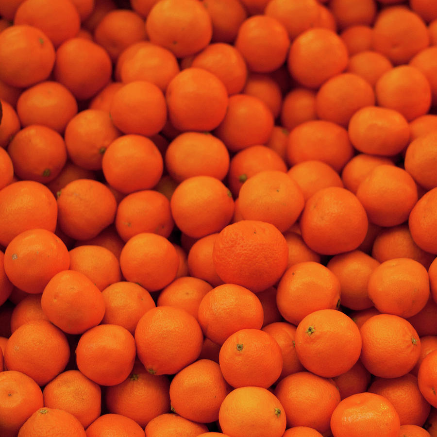 Tangerine Photograph by Philippe Thiers Tangerine Photograph by Philippe Thiers