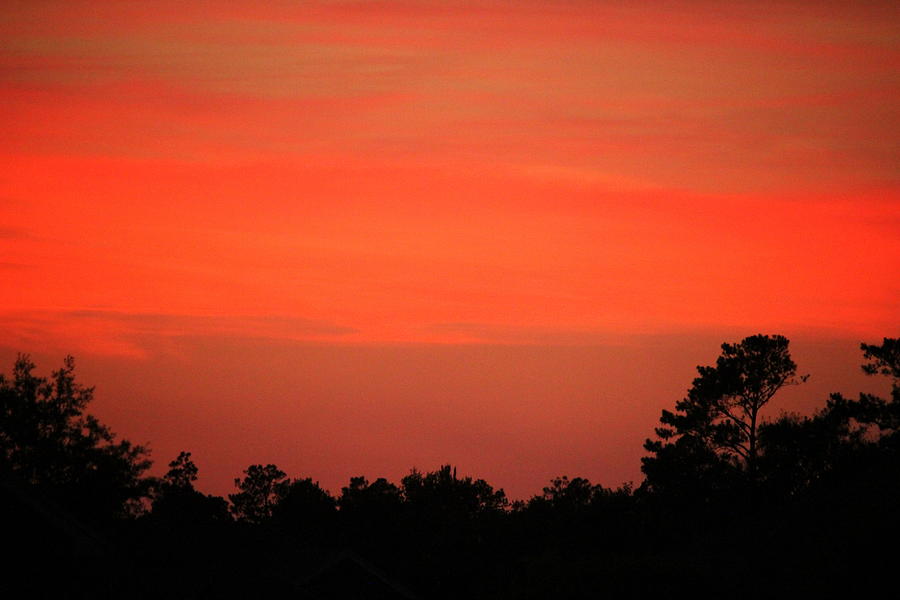 Tangerine Sunset Photograph by Cynthia Guinn