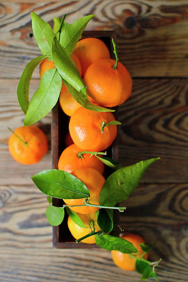 Tangerines Photograph by Karolina Smyk