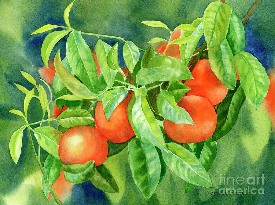 Tangerines with Background 2 Painting by Sharon Freeman
