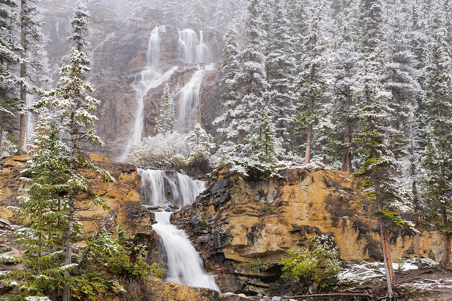Tangle Creek Falls In Jasper National Park Photograph by Jeff Foott