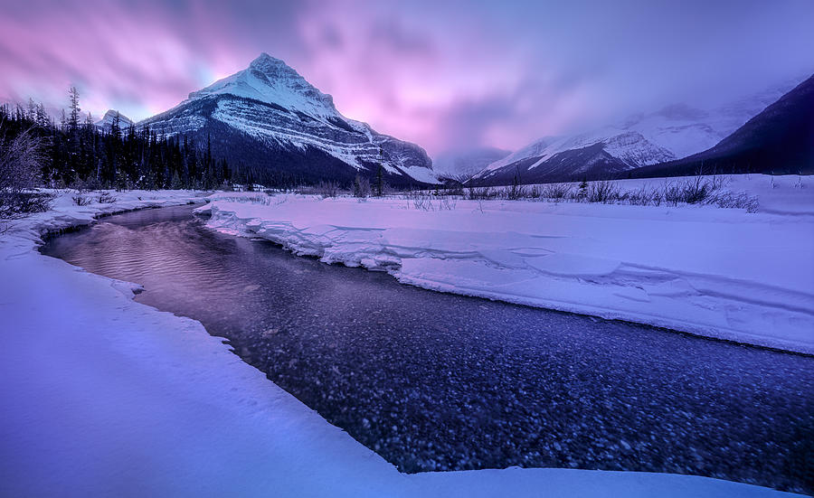 Tangle Peak In Red Photograph by Alex Lu - Fine Art America