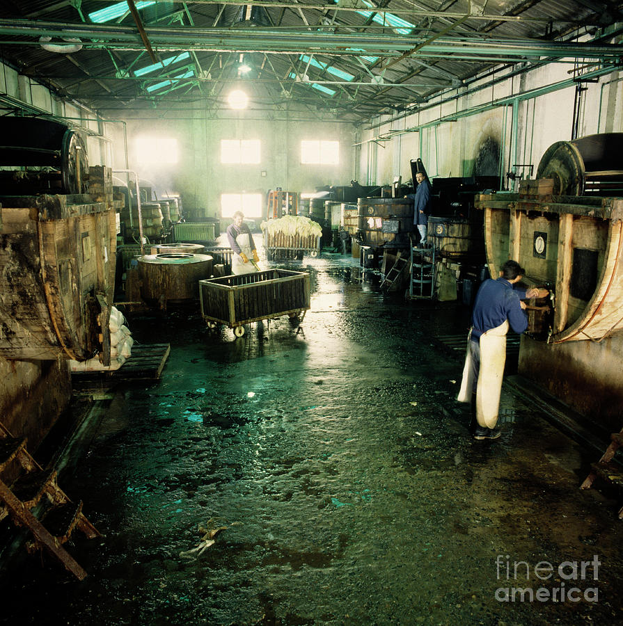 Tannery Photograph by Steve Percival/science Photo Library